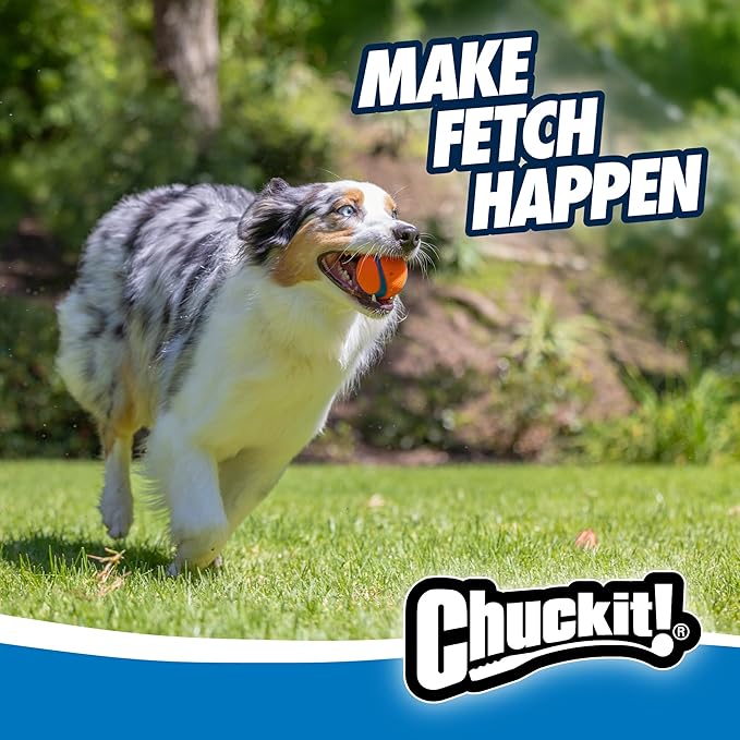 Chuckit! Ultra Ball Dog Toy - Medium Bouncy Fetch Balls for Dogs 20-60 lbs - Made from Durable Rubber - Floating Water Pet Toys - Size Medium - 2.5-inch Diameter - Pack of 6