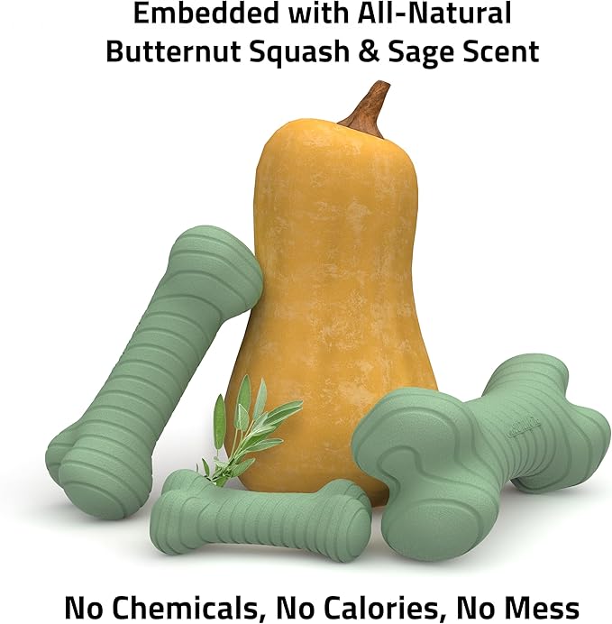 Playology Dog Toys | Dual Layer Bone Durable Chew Toy Bone for Dogs | Jumbo Butternut Squash & Sage Scented Toy - Limited Edition Fall Scent | Easy to Clean and Made from Non Toxic Materials