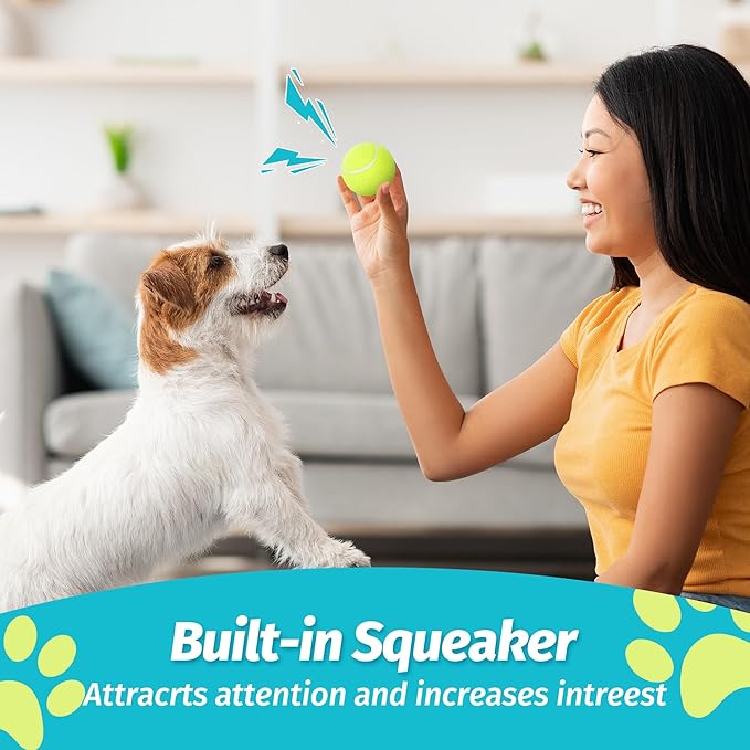 Prime Pets Squeaky Dog Tennis Balls 12 Pack, 2.5” Durable High-Bounce Tennis Balls for Dogs, Dog Ball for Fetch & Training, Outdoor Interactive Dog Toy Ball for Small and Medium Dogs