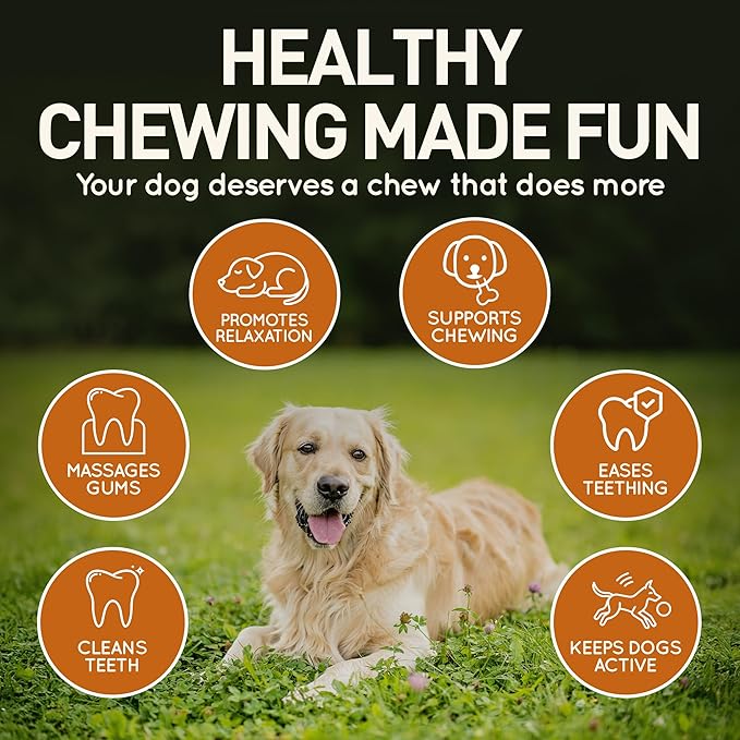 Wildfang® Leather Dog Toy, Medium - Leather Bone for Teething Dog, Dental Toys for Puppies, Training for Chewing Muscles, Puppy Chew Bones for Light or Medium Chewers (for Dogs 22-33 lbs), Pack of 3
