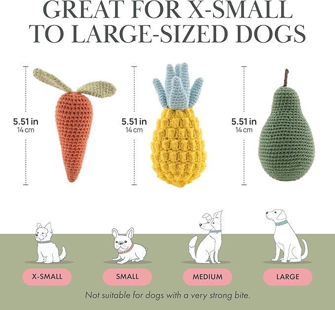 Nina Woof Organic Cotton Dog Toys Pack – Handmade Squeaky Plush Puppy Toys for Small and Medium Dogs, Eco Friendly Teething Accessories, Natural Pet Gift Set with Cute Fruit and Veggie Designs