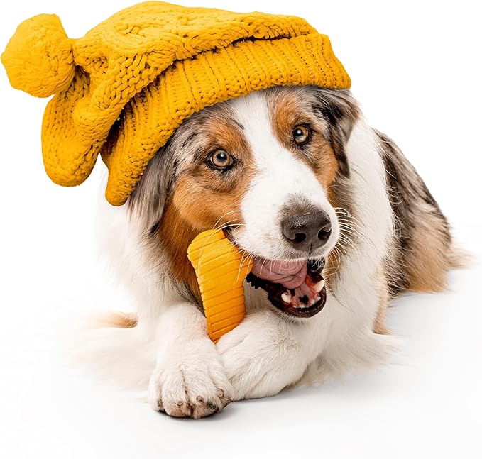 Playology Dog Toys | Dual Layer Bone Durable Chew Toy Bone for Dogs | Jumbo Pumpkin Spice Scented Toy - Easy to Clean and Made from Non Toxic Materials