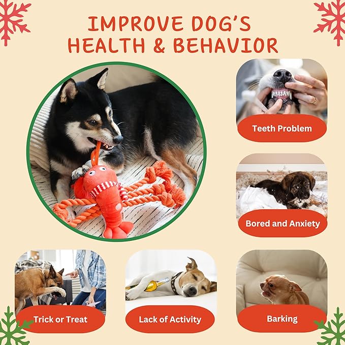 Lobster Dog Toys, Squeaky Rope Tug of War Dog Toys, Interactive Plush Chew Toys, Dog Gifts for Puppy, Small Medium Large Dogs