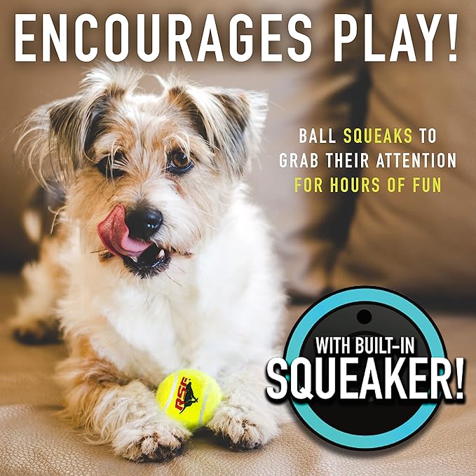 Franklin Pet Supply Co. RSF Squeak Mini 1.75" Tennis Balls - Dog Toy Squeaks When Squeezed - 12 Pack - for Small Dogs - Squeaker Noise