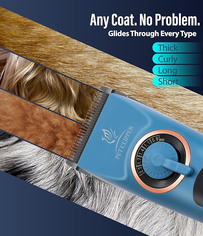 Professional Dog Grooming Clippers with 12H Runtime & Replaceable 440C Blade, 3-Speed Low Noise Electric Dog Shaver for Thick, Matted, Curly Hair, Cordless Clipper for Groomer & Home Use, Blue