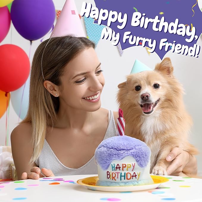 Dog Happy Birthday Cake Toy with Crinkle, Stuffed Plush Puppy Present for Birthday Party, Dog Toy for Small Medium