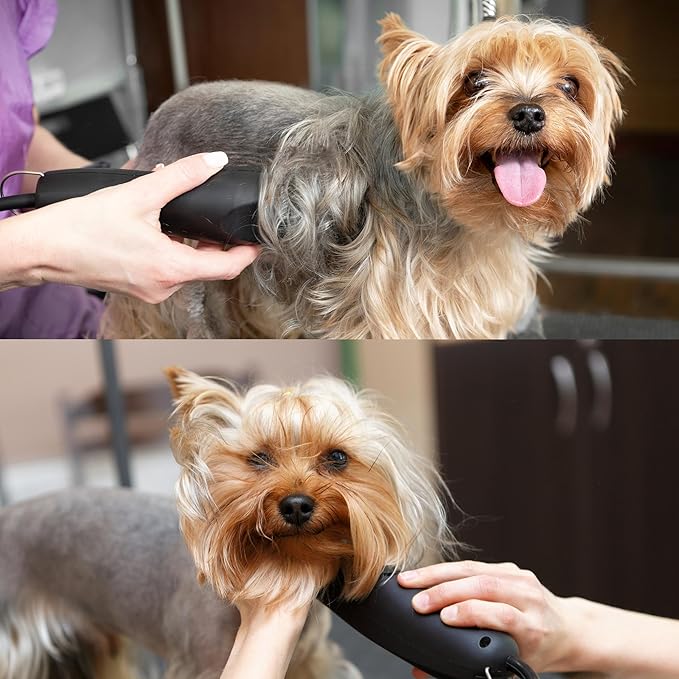 Skip Tooth 5 Wide Blade Dog Grooming Cuts Length 1/4" - 6.4mm(Japanese High Carbon Steel 5 Skip Tooth Blade Dog Grooming | 5W Clipper Blade (B5W)