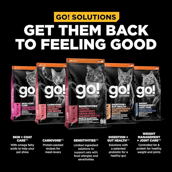 Go! Solutions Sensitivities Limited Ingredient Salmon Grain-Free Dry Cat Food, Chicken-Free Kibble Made by Experts for Sensitive Stomachs & Food Allergies, for Kittens, Adults, & Seniors, 3 lb Bag