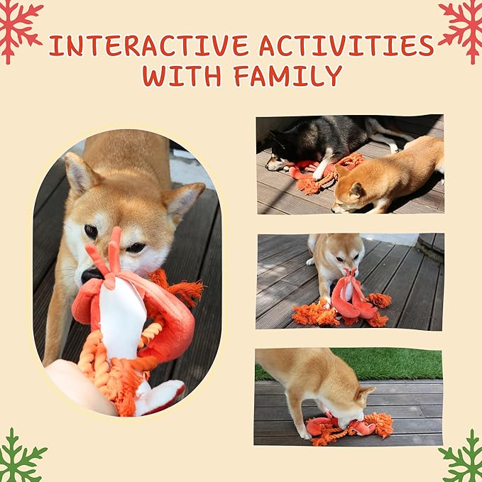 Lobster Dog Toys, Squeaky Rope Tug of War Dog Toys, Interactive Plush Chew Toys, Dog Gifts for Puppy, Small Medium Large Dogs