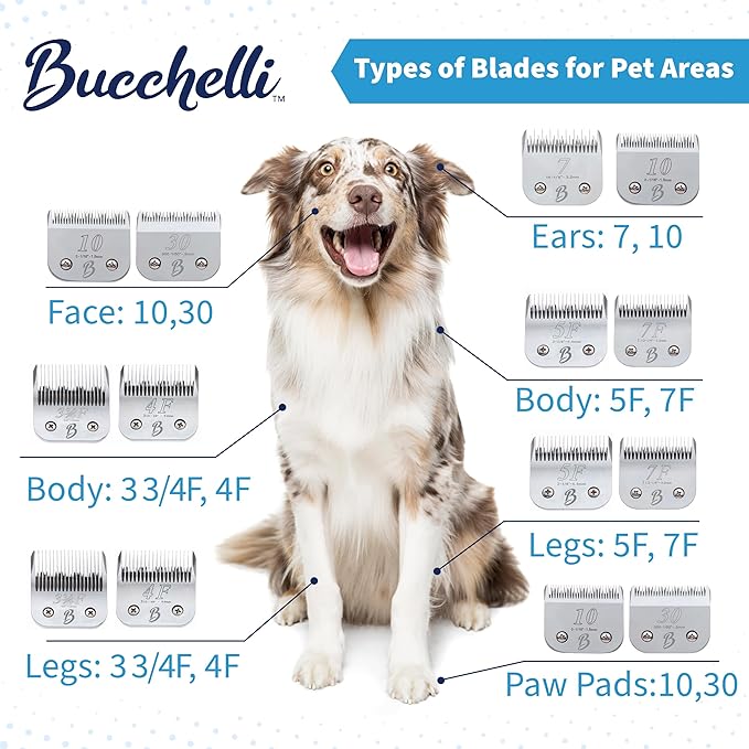 Detachable A Series 9 Blade for Dog Grooming Cut Length 5/64" - 2.0mm Japanese Carbonized Steel Blades for Dog Grooming Compatible A5 Series Clippers for Dogs Cat(9)