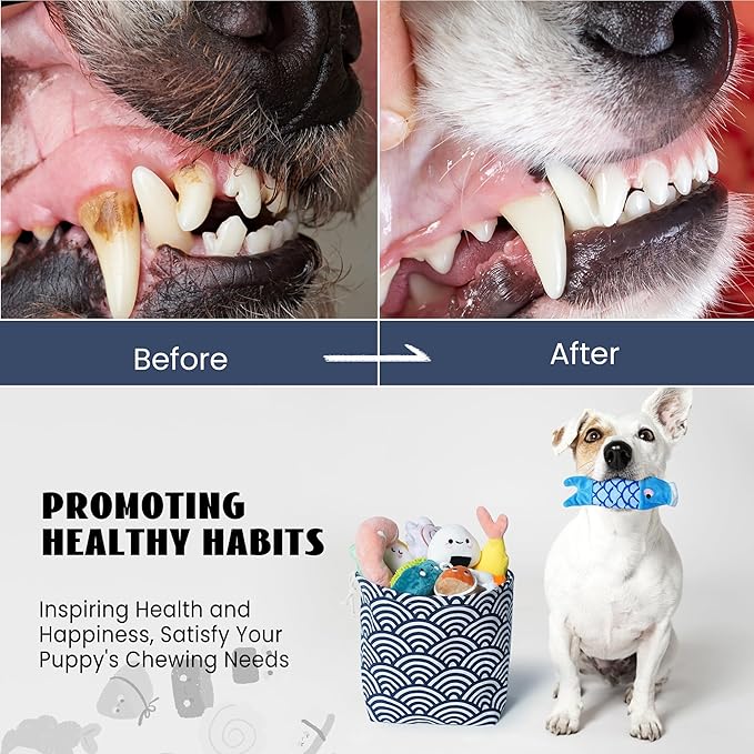 Nocciola 10 PCS Sushi Small Dog Toys to Keep Them Busy, Cute Stuffed Puppy Toys with Bag, Plush Dog Squeaky Toy for Small to Medium Dog Christmas Stocking Stuffers
