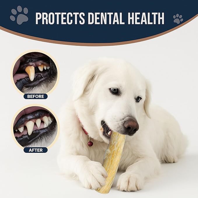 Set of 3 Coffee Wood Dog Chew Stick Toy, Natural and Real Wooden Bone Sticks for Pets, Safe Dental Cleaning Chews, Dog Health, Teeth Cleaning and Relieve Stress (Medium Dogs)