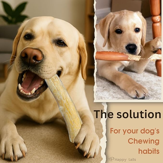 Set of 3 Coffee Wood Dog Chew Stick Toy, Natural and Real Wooden Bone Sticks for Pets, Safe Dental Cleaning Chews, Dog Health, Teeth Cleaning and Relieve Stress (Large Dogs)
