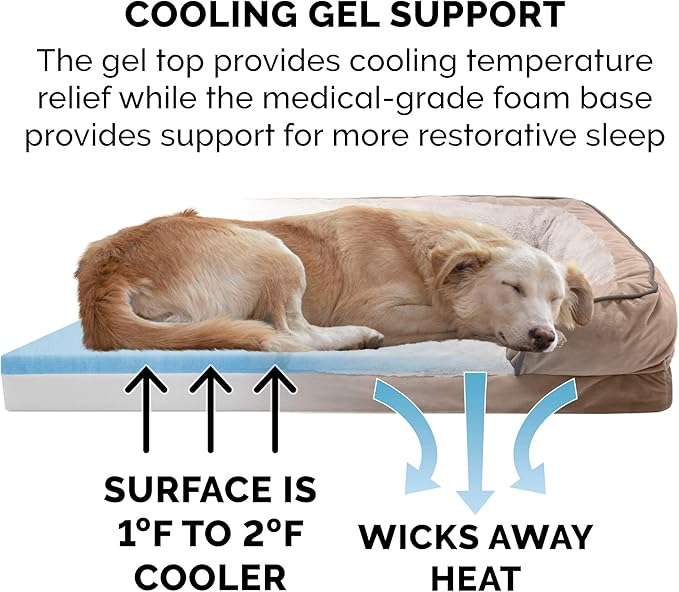 FurHaven Cooling Gel Dog Bed & goDog Toy - Squeaky Moving Plush Lobster for Large Dogs - Plush & Velvet Waves Perfect Comfort Sofa - Brownstone, Jumbo/XL