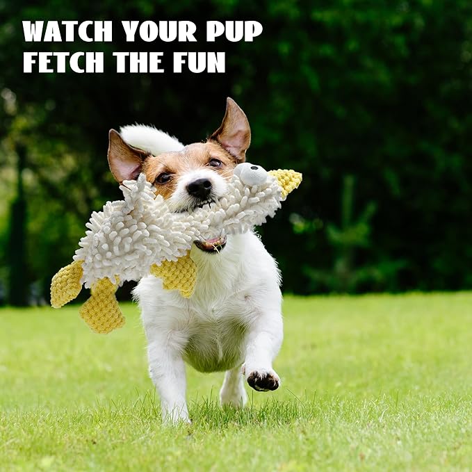 Nocciola Small Medium Large Dog Toys, Cute Soft Squeaky Crinkle Plush Stuffed Durable Pet Teething Animal Chew Toys for Small to Large Breed, Dog Christmas Stocking Stuffers
