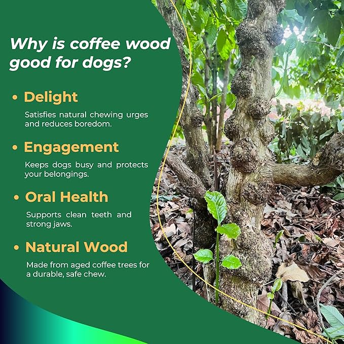 Set of 3 Coffee Wood Dog Chew Stick Toy, Natural and Real Wooden Bone Sticks for Pets, Safe Dental Cleaning Chews, Dog Health, Teeth Cleaning and Relieve Stress (Large Dogs)