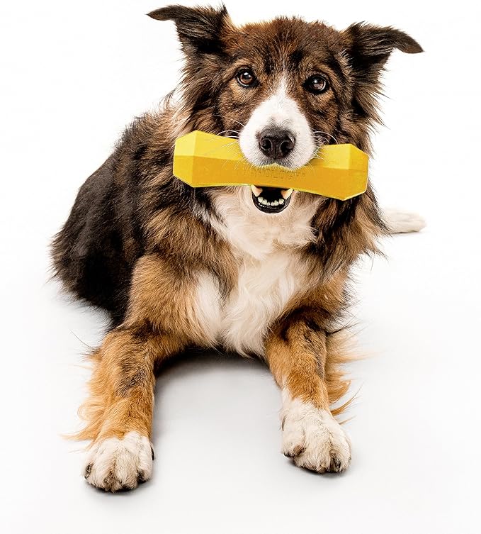 Playology Dog Toys | Durable Squeaky Chew Stick for Dogs | Jumbo Chicken Scented Toy - Easy to Clean and Made from Non Toxic Materials
