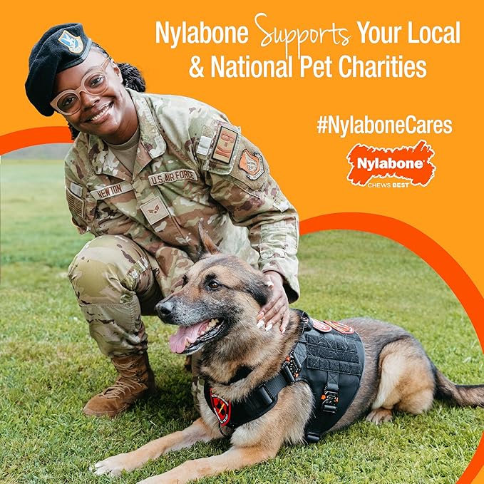 Nylabone Power Chew Toy Bundle, Cute Dog Toys for Aggressive Chewers, Bacon Glazed, Toasted Marshmallow, and Peanut Butter Flavors, Large Dogs - Up to 50 lbs, 3 Pack